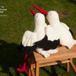 Stately White Stork